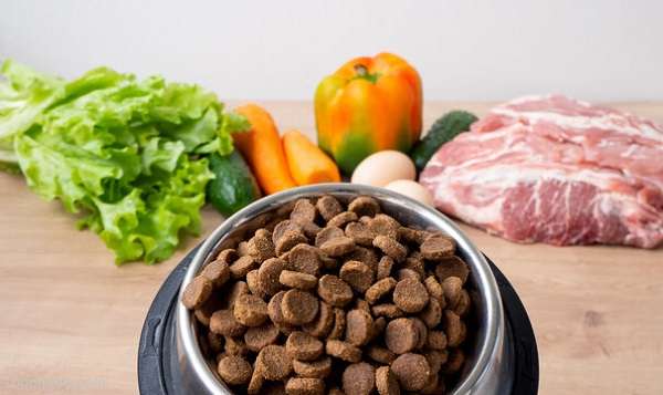 Beef Dog Food