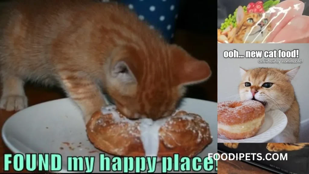 Cat Food Memes